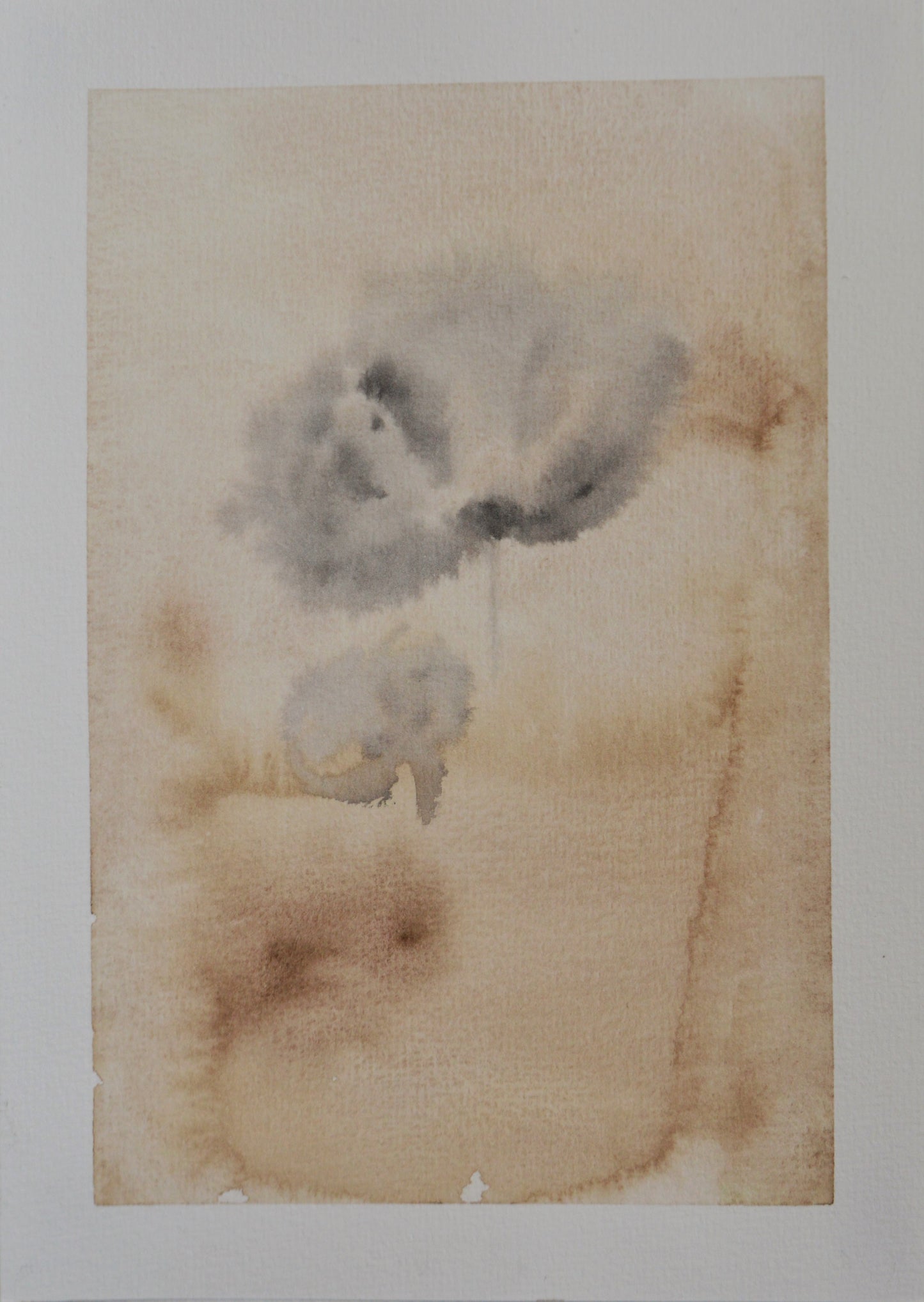 Coquelicot abstrait