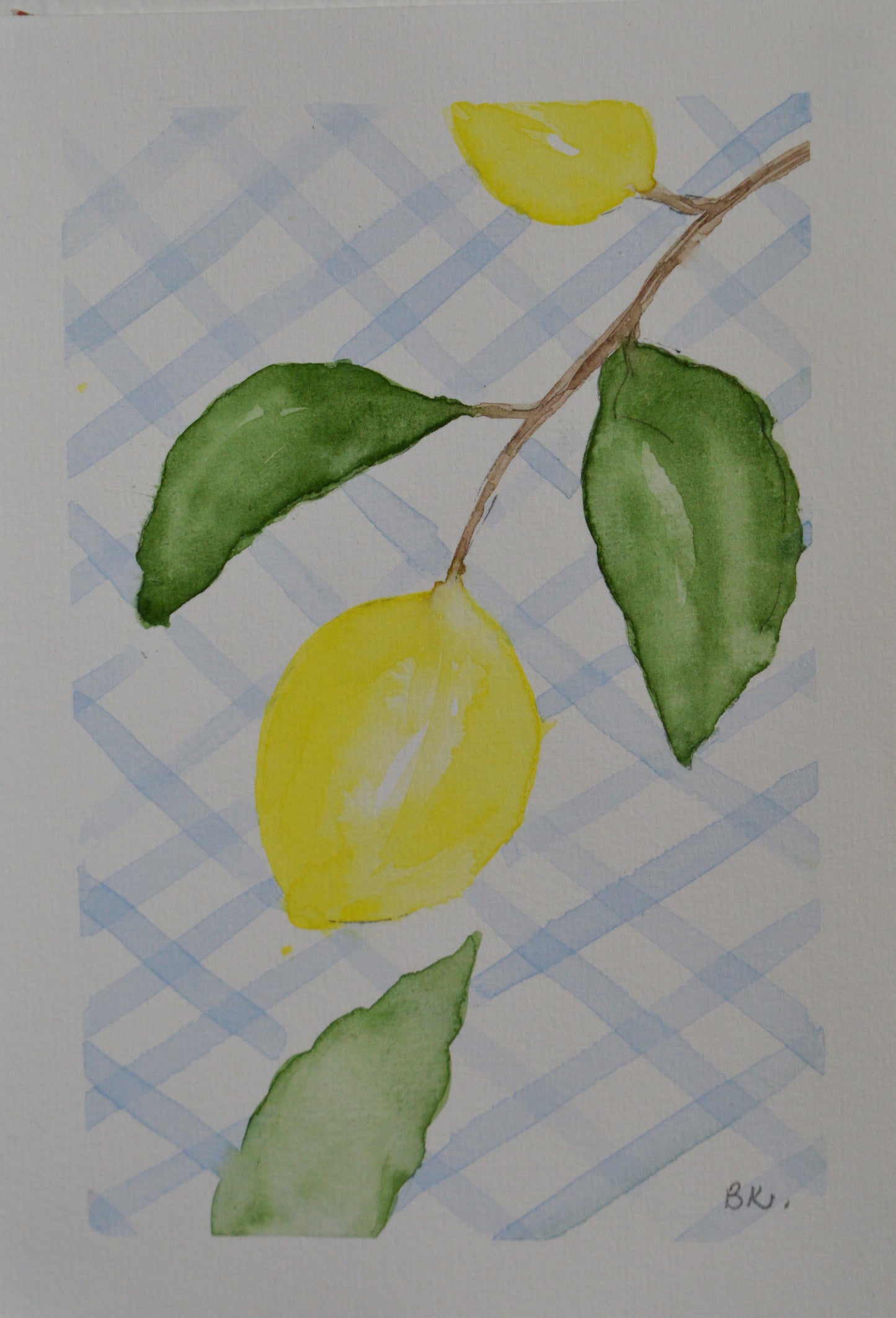 Aquarelle Citron Vichy